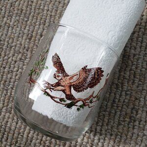 Vintage Sunoco North American Wildlife Collector Drinking Glasses: Spotted Owl